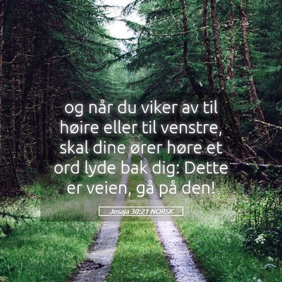 Picture 05 - Jesaja 30:21 NORSK - og når du viker av til høire eller til venstre, - Bible Verse Picture