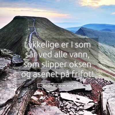 Picture 05 - Jesaja 32:20 NORSK - Lykkelige er I som sår ved alle vann, som - Bible Verse Picture