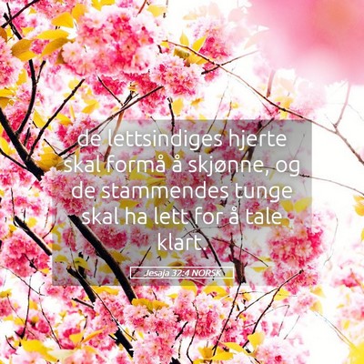 Picture 05 - Jesaja 32:4 NORSK - de lettsindiges hjerte skal formå å skjønne, - Bible Verse Picture