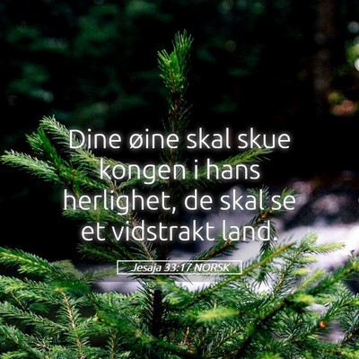 Picture 05 - Jesaja 33:17 NORSK - Dine øine skal skue kongen i hans herlighet, de - Bible Verse Picture