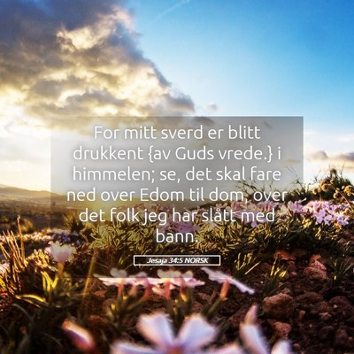 Picture 05 - Jesaja 34:5 NORSK - For mitt sverd er blitt drukkent {av Guds vrede.} - Bible Verse Picture