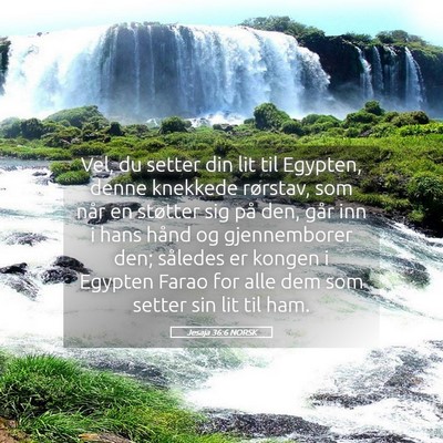 Picture 05 - Jesaja 36:6 NORSK - Vel, du setter din lit til Egypten, denne - Bible Verse Picture