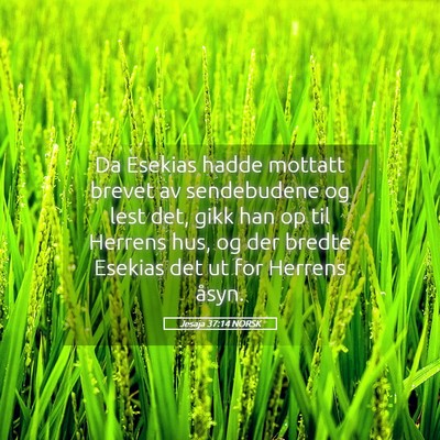Picture 05 - Jesaja 37:14 NORSK - Da Esekias hadde mottatt brevet av sendebudene og - Bible Verse Picture