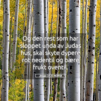 Picture 05 - Jesaja 37:31 NORSK - Og den rest som har sloppet unda av Judas hus, - Bible Verse Picture
