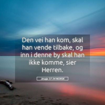 Picture 05 - Jesaja 37:34 NORSK - Den vei han kom, skal han vende tilbake, og inn i - Bible Verse Picture