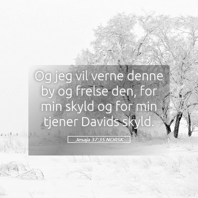 Picture 05 - Jesaja 37:35 NORSK - Og jeg vil verne denne by og frelse den, for min - Bible Verse Picture