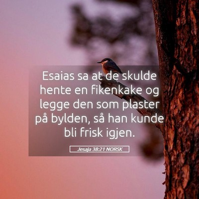 Picture 05 - Jesaja 38:21 NORSK - Esaias sa at de skulde hente en fikenkake og - Bible Verse Picture