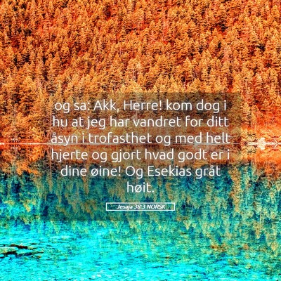 Picture 05 - Jesaja 38:3 NORSK - og sa: Akk, Herre! kom dog i hu at jeg har - Bible Verse Picture