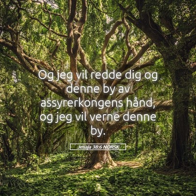 Picture 05 - Jesaja 38:6 NORSK - Og jeg vil redde dig og denne by av - Bible Verse Picture