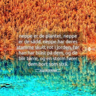Picture 05 - Jesaja 40:24 NORSK - neppe er de plantet, neppe er de sådd, neppe har - Bible Verse Picture