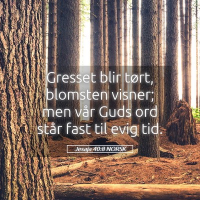 Picture 05 - Jesaja 40:8 NORSK - Gresset blir tørt, blomsten visner; men vår - Bible Verse Picture