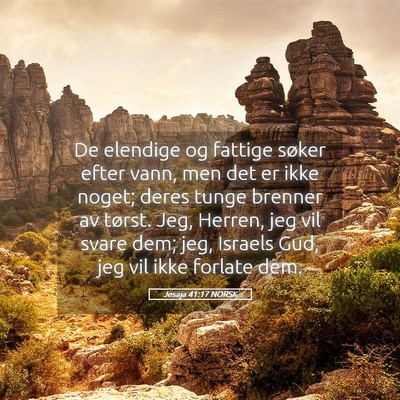 Picture 05 - Jesaja 41:17 NORSK - De elendige og fattige søker efter vann, men det - Bible Verse Picture