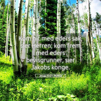 Picture 05 - Jesaja 41:21 NORSK - Kom hit med eders sak, sier Herren; kom frem med - Bible Verse Picture