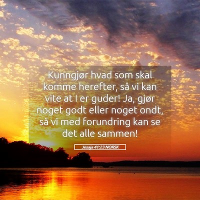 Picture 05 - Jesaja 41:23 NORSK - Kunngjør hvad som skal komme herefter, så vi - Bible Verse Picture