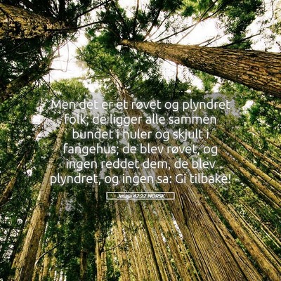Picture 05 - Jesaja 42:22 NORSK - Men det er et røvet og plyndret folk; de ligger - Bible Verse Picture
