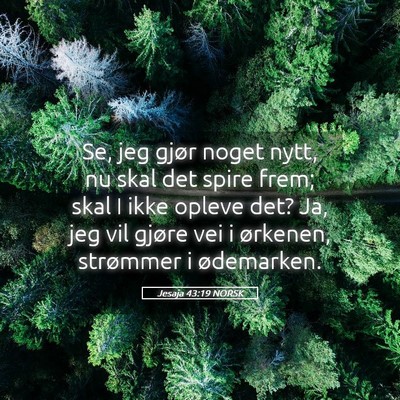 Picture 05 - Jesaja 43:19 NORSK - Se, jeg gjør noget nytt, nu skal det spire frem; - Bible Verse Picture