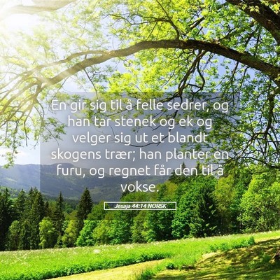Picture 05 - Jesaja 44:14 NORSK - En gir sig til å felle sedrer, og han tar stenek - Bible Verse Picture