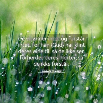 Picture 05 - Jesaja 44:18 NORSK - De skjønner intet og forstår intet; for han - Bible Verse Picture
