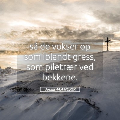 Picture 05 - Jesaja 44:4 NORSK - så de vokser op som iblandt gress, som piletrær - Bible Verse Picture