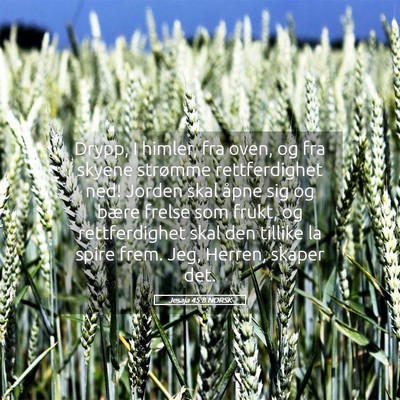 Picture 05 - Jesaja 45:8 NORSK - Drypp, I himler, fra oven, og fra skyene strømme - Bible Verse Picture