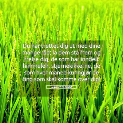 Picture 05 - Jesaja 47:13 NORSK - Du har trettet dig ut med dine mange råd; la dem - Bible Verse Picture