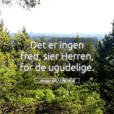 Picture 05 - Jesaja 48:22 NORSK - Det er ingen fred, sier Herren, for de - Bible Verse Picture