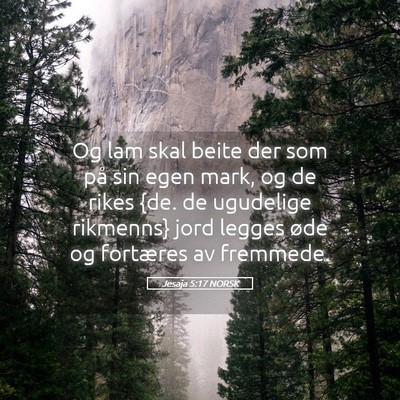 Picture 05 - Jesaja 5:17 NORSK - Og lam skal beite der som på sin egen mark, og - Bible Verse Picture