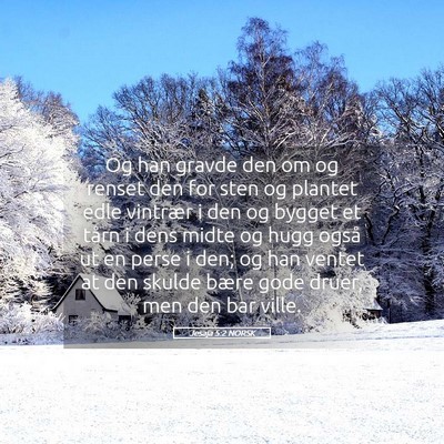 Picture 05 - Jesaja 5:2 NORSK - Og han gravde den om og renset den for sten og - Bible Verse Picture