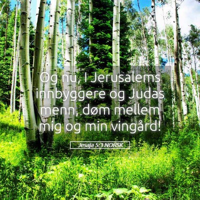 Picture 05 - Jesaja 5:3 NORSK - Og nu, I Jerusalems innbyggere og Judas menn, - Bible Verse Picture