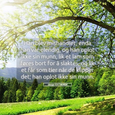 Picture 05 - Jesaja 53:7 NORSK - Han blev mishandlet, enda han var elendig, og han - Bible Verse Picture