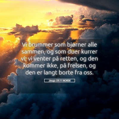 Picture 05 - Jesaja 59:11 NORSK - Vi brummer som bjørner alle sammen, og som duer - Bible Verse Picture