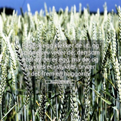 Picture 05 - Jesaja 59:5 NORSK - Basilisk-egg klekker de ut, og spindelvev vever - Bible Verse Picture