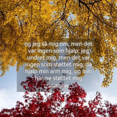Picture 05 - Jesaja 63:5 NORSK - og jeg så mig om, men det var ingen som hjalp; - Bible Verse Picture