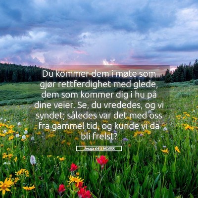 Picture 05 - Jesaja 64:5 NORSK - Du kommer dem i møte som gjør rettferdighet med - Bible Verse Picture
