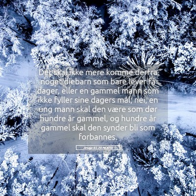 Picture 05 - Jesaja 65:20 NORSK - Det skal ikke mere komme derfra noget diebarn som - Bible Verse Picture