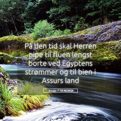 Picture 05 - Jesaja 7:18 NORSK - På den tid skal Herren pipe til fluen lengst - Bible Verse Picture