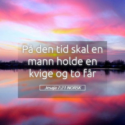 Picture 05 - Jesaja 7:21 NORSK - På den tid skal en mann holde en kvige og to - Bible Verse Picture