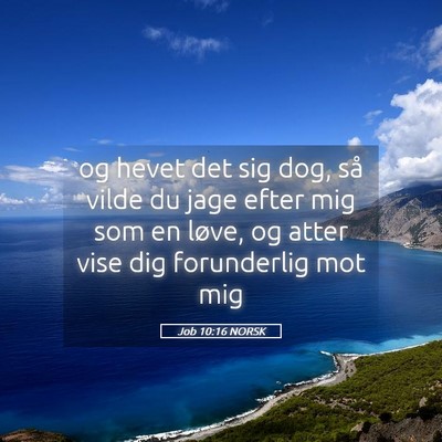 Picture 05 - Job 10:16 NORSK - og hevet det sig dog, så vilde du jage efter mig - Bible Verse Picture