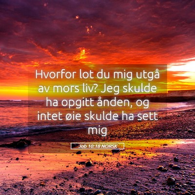 Picture 05 - Job 10:18 NORSK - Hvorfor lot du mig utgå av mors liv? Jeg skulde - Bible Verse Picture