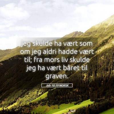 Picture 05 - Job 10:19 NORSK - jeg skulde ha vært som om jeg aldri hadde vært - Bible Verse Picture