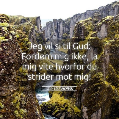 Picture 05 - Job 10:2 NORSK - Jeg vil si til Gud: Fordøm mig ikke, la mig vite - Bible Verse Picture
