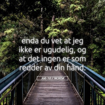 Picture 05 - Job 10:7 NORSK - enda du vet at jeg ikke er ugudelig, og at det - Bible Verse Picture