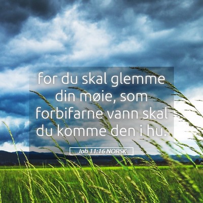 Picture 05 - Job 11:16 NORSK - for du skal glemme din møie, som forbifarne vann - Bible Verse Picture