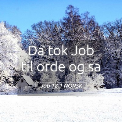 Picture 05 - Job 12:1 NORSK - Da tok Job til orde og - Bible Verse Picture