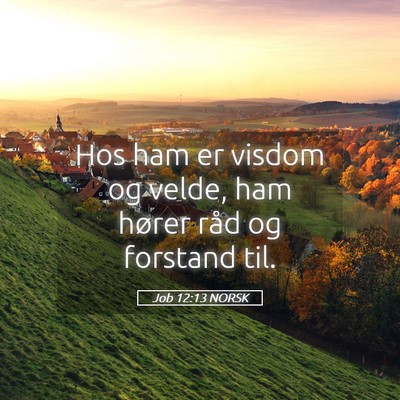 Picture 05 - Job 12:13 NORSK - Hos ham er visdom og velde, ham hører råd og - Bible Verse Picture
