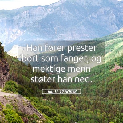Picture 05 - Job 12:19 NORSK - Han fører prester bort som fanger, og mektige - Bible Verse Picture