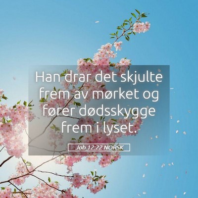 Picture 05 - Job 12:22 NORSK - Han drar det skjulte frem av mørket og fører - Bible Verse Picture