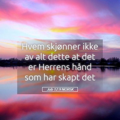 Picture 05 - Job 12:9 NORSK - Hvem skjønner ikke av alt dette at det er - Bible Verse Picture