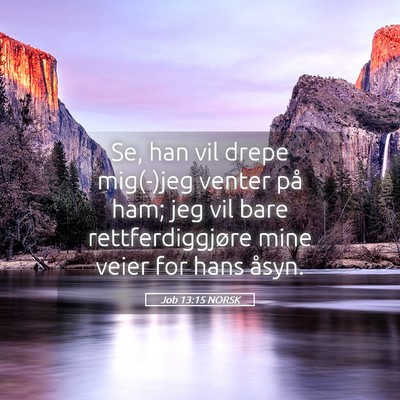 Picture 05 - Job 13:15 NORSK - Se, han vil drepe mig(-)jeg venter på ham; jeg - Bible Verse Picture