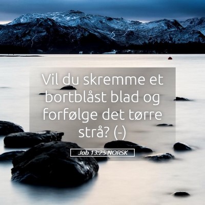 Picture 05 - Job 13:25 NORSK - Vil du skremme et bortblåst blad og forfølge - Bible Verse Picture